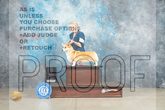 Pembroke Welsh Corgi #8 Fri OHRBIS Judge Elizardo Valadez_MJ_1184_Midland2023_HR3