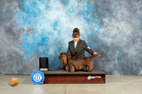 Sussex Spanield #5 Fri OHG2 Judge Donna O'Connell