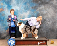 Australian Shepherd #27 Sat G1 Judge Pat Trotter