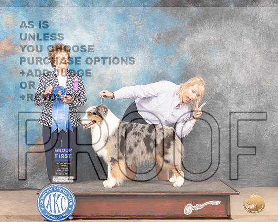Australian Shepherd #27 Sat G1 Judge Pat Trotter-MMJ_4161-Abilene2022-HR3