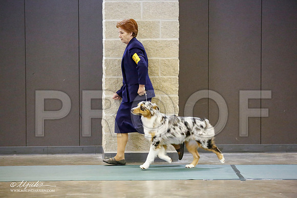 _JN_2790-BeltonJan2015-HR3