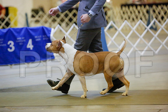 _JN_0499-AmarilloSept2014-HR3