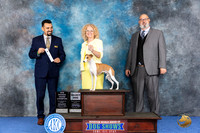 Italian Greyhound #15 WED SD NBGC Judge Joao Machado
