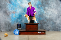 Beagle 15" #10 Sat BOVBOWWB Judge Elizabeth Muthard