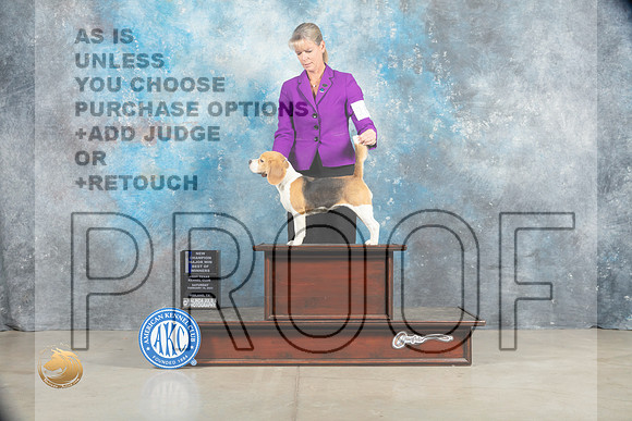 Beagle 15%22 #10 Sat BOVBOWWB Judge Elizabeth Muthard_MJ_1630_Midland2023_HR3