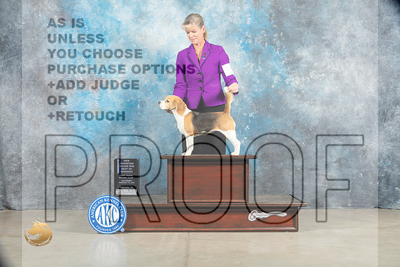 Beagle 15%22 #10 Sat BOVBOWWB Judge Elizabeth Muthard_MJ_1632_Midland2023_HR3