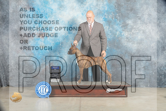 Boxer #30 Sat BOW Judge Elizabeth Muthard_MJ_1489_Midland2023_HR3