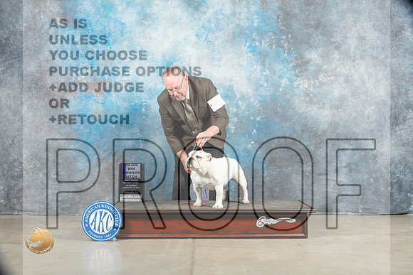 Bulldog #8 Sat WBM Judge Judy Wade_MJ_1260_Midland2023_HR3