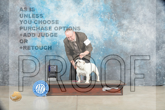 Bulldog #8 Sat WBM Judge Judy Wade_MJ_1262_Midland2023_HR3