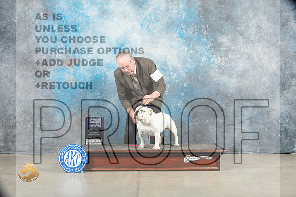 Bulldog #8 Sat WBM Judge Judy Wade_MJ_1263_Midland2023_HR3