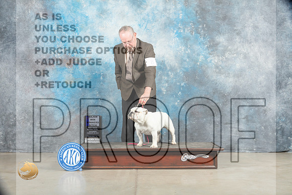 Bulldog #8 Sat WBM Judge Judy Wade_MJ_1264_Midland2023_HR3