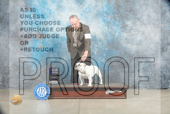 Bulldog #8 Sat WBM Judge Judy Wade_MJ_1265_Midland2023_HR3