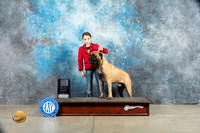 Bullmastiff #15 Sat BOWWDM Judge Elizabeth Muthard