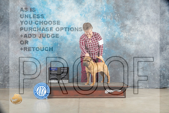 Chinese Shar Pei #5 Sat WDBOW Judge Judy Wade_MJ_1228_Midland2023_HR3