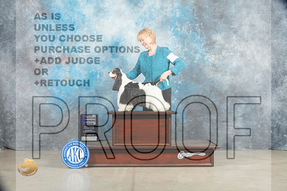 Cocker Spaniel Parti #8 Sat WBBOSCH Judge Jon Cole_MJ_1598_Midland2023_HR3