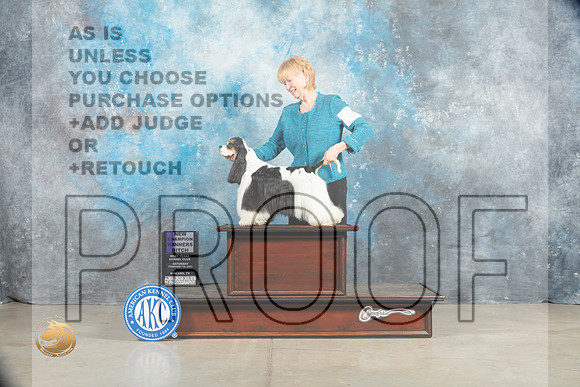 Cocker Spaniel Parti #8 Sat WBBOSCH Judge Jon Cole_MJ_1599_Midland2023_HR3