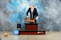 Dachshund Wirehaired #19 Sat BOW Judge Charles Olvis