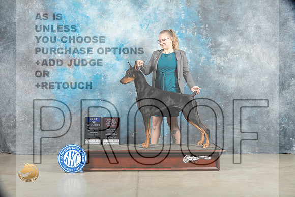 Doberman Pinscher #5 Sat BOWOHBOB Judge Elizabeth Muthard_MJ_1278_Midland2023_HR3