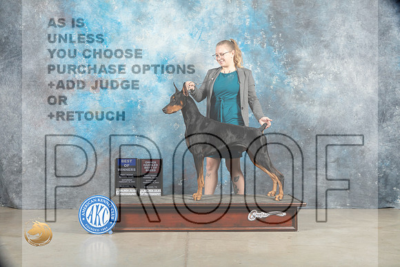 Doberman Pinscher #5 Sat BOWOHBOB Judge Elizabeth Muthard_MJ_1279_Midland2023_HR3