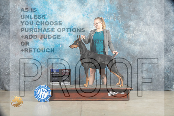Doberman Pinscher #5 Sat BOWOHBOB Judge Elizabeth Muthard_MJ_1280_Midland2023_HR3
