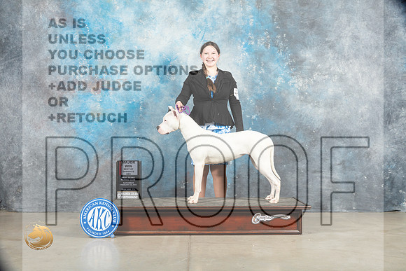 Dogo Argentino #8 Sat BOSWBM Judge Elizabeth Muthard_MJ_1361_Midland2023_HR3