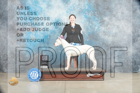 Dogo Argentino #8 Sat BOSWBM Judge Elizabeth Muthard_MJ_1360_Midland2023_HR3