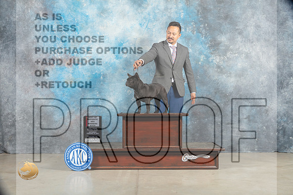 French Bulldog #14 Sat BOSWB Judge Elizabeth Muthard_MJ_1628_Midland2023_HR3