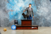 French Bulldog #14 Sat BOSWB Judge Elizabeth Muthard