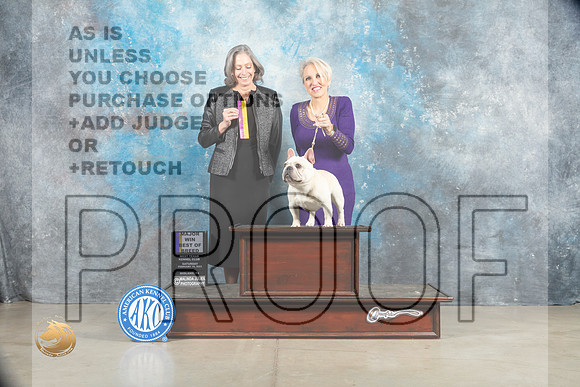 French Bulldog #47 Sat BOB Judge Judy Wade_MJ_1412_Midland2023_HR3