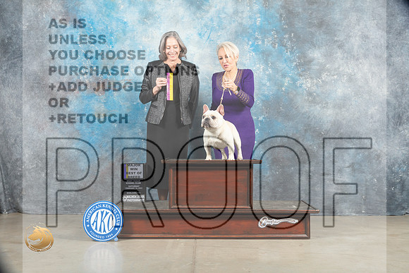 French Bulldog #47 Sat BOB Judge Judy Wade_MJ_1409_Midland2023_HR3