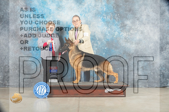 German Shepherd Dog #9 Sat BOWBOS Judge Judy Brown_MJ_1243_Midland2023_HR3