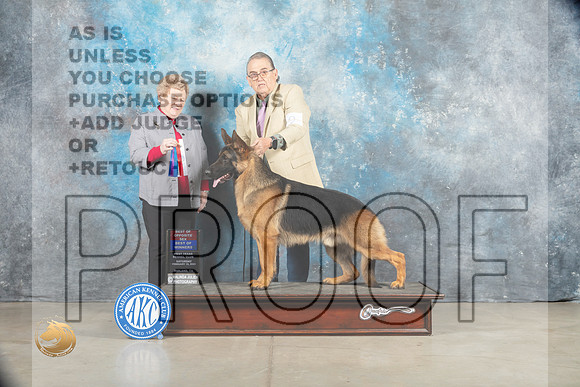 German Shepherd Dog #9 Sat BOWBOS Judge Judy Brown_MJ_1244_Midland2023_HR3