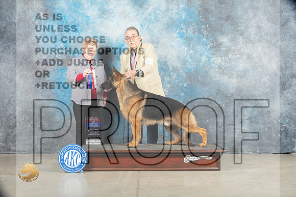 German Shepherd Dog #9 Sat BOWBOS Judge Judy Brown_MJ_1245_Midland2023_HR3