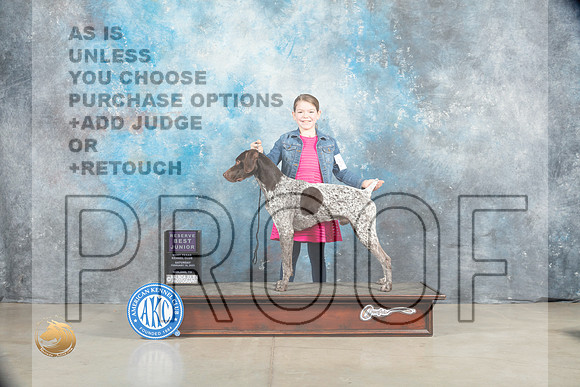 German Shorthaired Pointer #J401 Sat RBJr Judge Judy Wade_MJ_1717_Midland2023_HR3