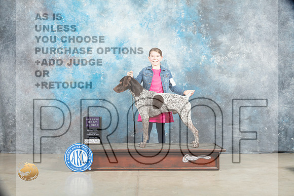 German Shorthaired Pointer #J401 Sat RBJr Judge Judy Wade_MJ_1716_Midland2023_HR3