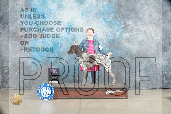 German Shorthaired Pointer #J401 Sat RBJr Judge Judy Wade_MJ_1718_Midland2023_HR3