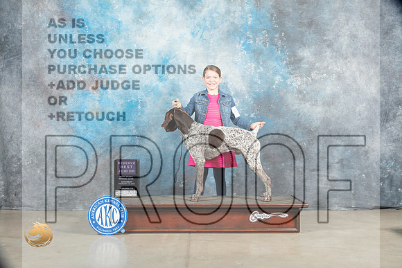 German Shorthaired Pointer #J401 Sat RBJr Judge Judy Wade_MJ_1719_Midland2023_HR3