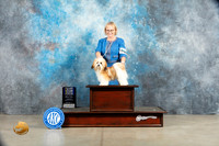 Havanese #20 Sat BOBBOWM Judge Elizardo Valadez