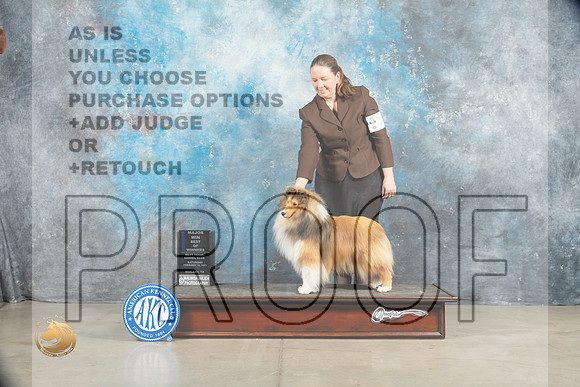 Shetland Sheepdog #21 BOWWDM Judge Charles Olvis_MJ_1452e_Midland2023_HR3