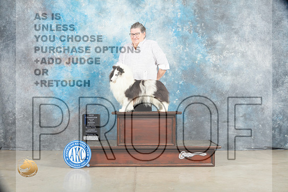 Shetland Sheepdog #26 Sat WBCh Judge Charles Olvis r_MJ_1701_Midland2023_HR3