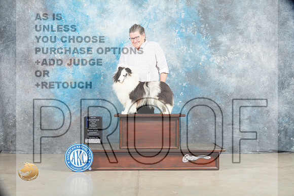 Shetland Sheepdog #26 Sat WBCh Judge Charles Olvis r_MJ_1702_Midland2023_HR3