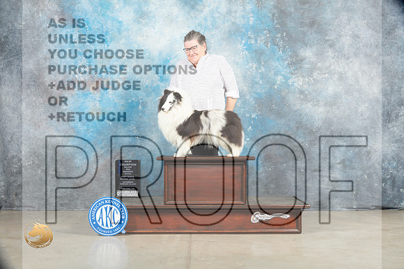 Shetland Sheepdog #26 Sat WBCh Judge Charles Olvis r_MJ_1706_Midland2023_HR3