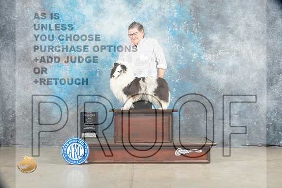 Shetland Sheepdog #26 Sat WBCh Judge Charles Olvis r_MJ_1708_Midland2023_HR3