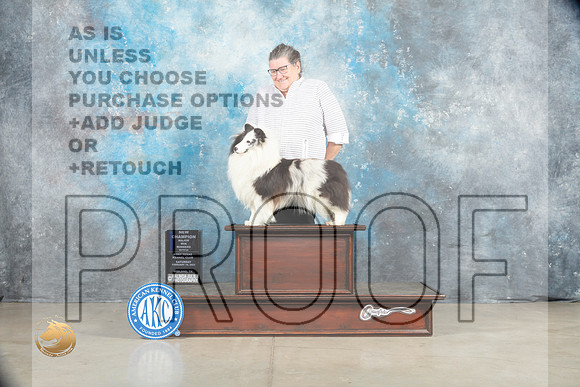 Shetland Sheepdog #26 Sat WBCh Judge Charles Olvis r_MJ_1710_Midland2023_HR3