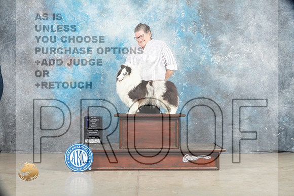 Shetland Sheepdog #26 Sat WBCh Judge Charles Olvis r_MJ_1712_Midland2023_HR3