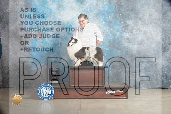 Shetland Sheepdog #26 Sat WBCh Judge Charles Olvis r_MJ_1711_Midland2023_HR3