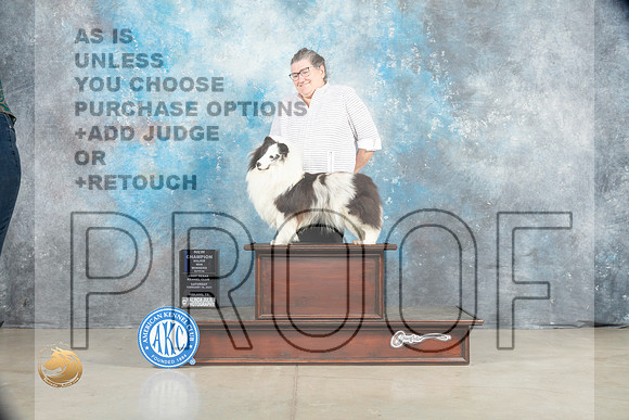 Shetland Sheepdog #26 Sat WBCh Judge Charles Olvis r_MJ_1713_Midland2023_HR3