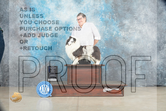 Shetland Sheepdog #26 Sat WBCh Judge Charles Olvis r_MJ_1714_Midland2023_HR3