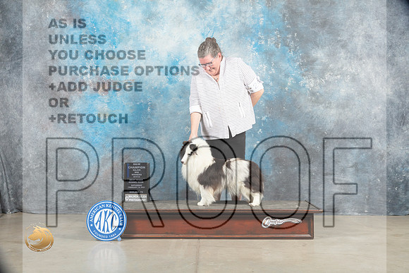 Shetland Sheepdog #26 Sat WBM Judge Charles Olvis_MJ_1450_Midland2023_HR3