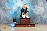 Shih Tzu #6 Sat BOW Judge Elizardo Valadez